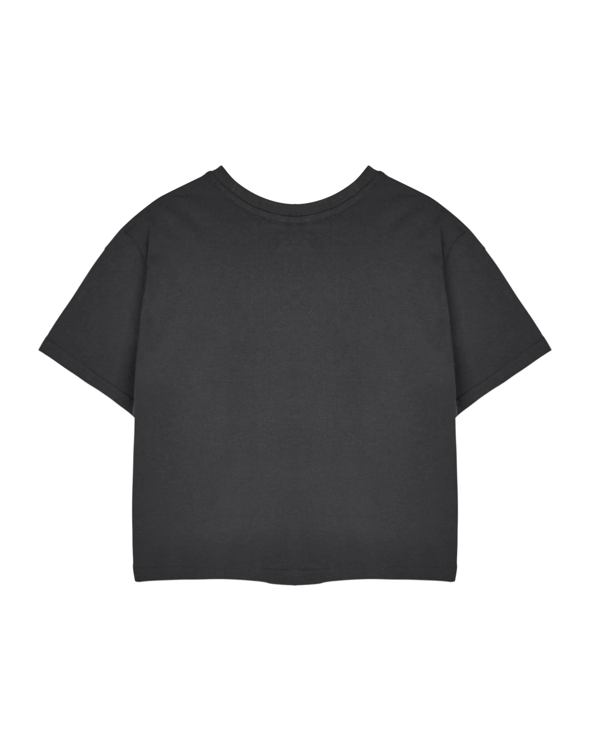 Pusheen Yum Noodles Womens Grey Cropped Short Sleeved T-Shirt